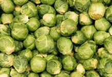 Jak błonnik wpływa na pracę jelit i przewodu pokarmowego?