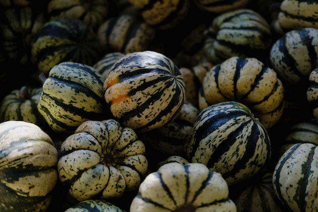 pexels-mathias-reding-14145236 Czy błonnik jest korzystny dla osób starszych?