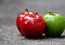 Wegetariańskie menu dla dzieci: jak zapewnić dziecku pełnowartościową dietę? Wegetariańskie menu dla dzieci