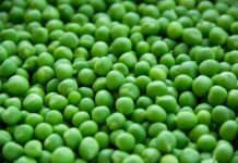 Wegetariańskie alternatywy dla mięsa: jak zastąpić białko i składniki odżywcze? alternatywy dla mięsa