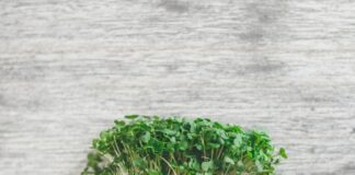 Jak minerały wpływają na zdrowie skóry i włosów?