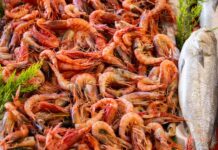 Jakie są najlepsze przepisy na dania białkowe? Jakie są najlepsze przepisy na dania białkowe?