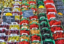 Jakie produkty spożywcze zawierają dużo żelaza?