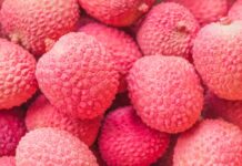 Jakie są alternatywne diety dla diety owocowej?