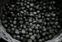 Jakie są najlepsze źródła białka dla wegan i wegetarian? Jakie są najlepsze źródła białka dla wegan i wegetarian?