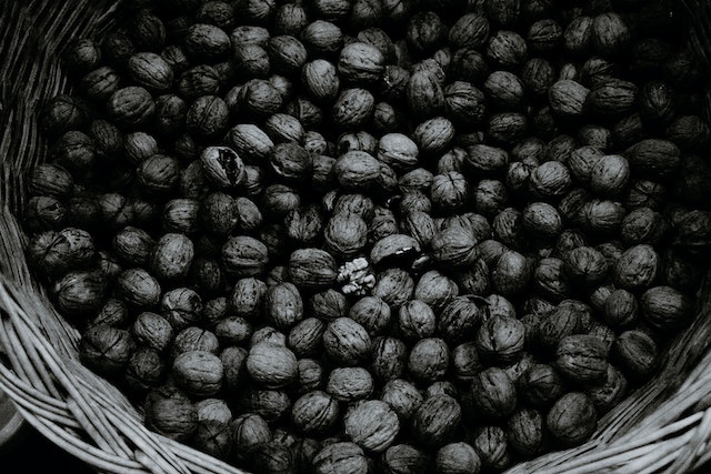 pexels-plato-terentev-5821587 Jakie są najlepsze źródła białka dla wegan i wegetarian?