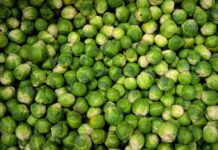 Czy dieta oparta na żywności ekologicznej może pomóc w walce z chorobami?