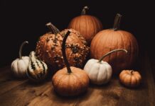 Jakie są różnice między żywnością ekologiczną a konwencjonalną?