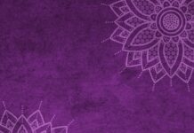 Ile wynosi mandat za brak świateł w rowerze?