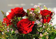 Ile kosztował najdroższy piłkarz?