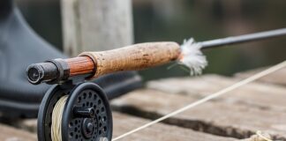 Co to znaczy łowienie w toni?