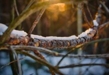 Jak dobrać balast do freedivingu?