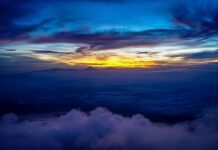 Jaki uchwyt na rower do samochodu?