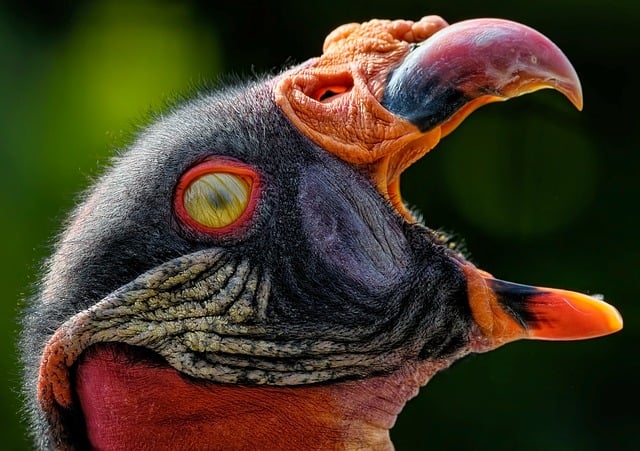 Co oznacza membrana 8000? Co oznacza membrana 8000?