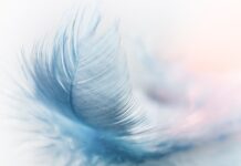 Jaka platforma na 3 rowery?