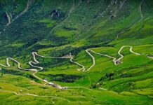 Ile kosztuje miesięczny karnet na siłownię?