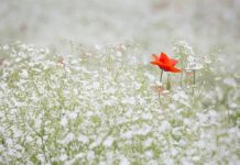 Jak dłużej wstrzymać oddech pod wodą?