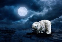 Czy można się bronić ASG?