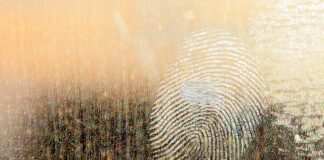 Co zamiast smaru do nart?