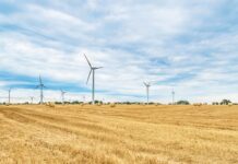 Czy Rolować się przed biegiem?