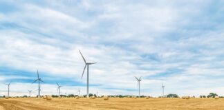 Czy Rolować się przed biegiem?