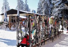 Jak zacząć przygodę z nartami biegowymi? Jak zacząć przygodę z nartami biegowymi?