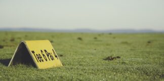 Jak wybrać koszulkę do biegania?