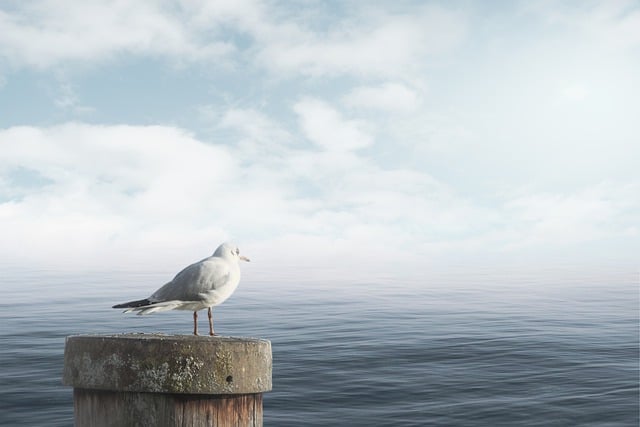 Jak uspokoić oddech podczas biegu? Jak uspokoić oddech podczas biegu?