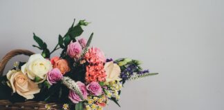 Jakie koszyki na bidon?