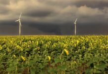 W jakiej kolejności wieszać flagi kościelne?