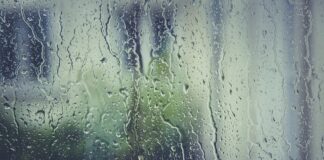 Co jest lepsze korki czy halówki?