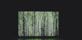 Jakie rękawice do nart biegowych?