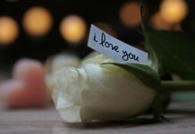 Ile się płaci za dowód rejestracyjny?