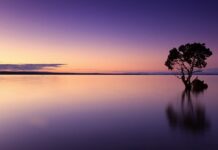 Ile kosztuje butelka wody w samolocie?