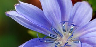 Jakie zamienniki baterii do GoPro?