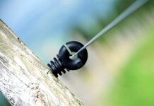 Ile Polaków zabili banderowcy? Ile Polaków zabili banderowcy?