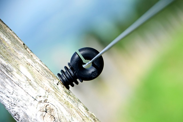 Ile Polaków zabili banderowcy? Ile Polaków zabili banderowcy?