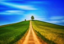 Czy chodzenie bez stanika jest legalne?