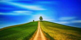 Czy chodzenie bez stanika jest legalne?