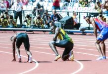Is Usain Bolt faster than a racehorse?