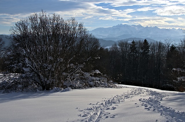 Gdzie z dzieckiem na biegówki? Gdzie z dzieckiem na biegówki?