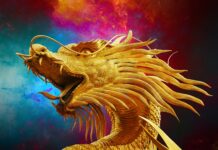 ¿Qué es un dragón Flip?