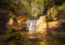 Co daje zwis na drążku?