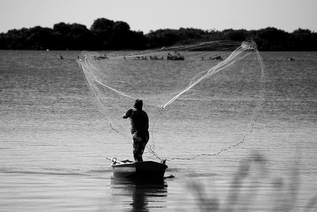 Pourquoi des pêchers dans les vignes ? Pourquoi des pêchers dans les vignes ?