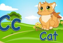 Dlaczego fiszka sama skręca?