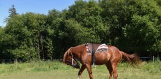 Jak zamontować wiązania do nart?