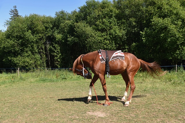 Jak zamontować wiązania do nart? Jak zamontować wiązania do nart?