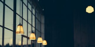 Quelle profondeur pour planter un arbre fruitier ?