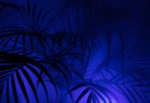 Jakie legginsy męskie do biegania?