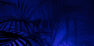 Czy pod legginsy sportowe zakładać bieliznę?